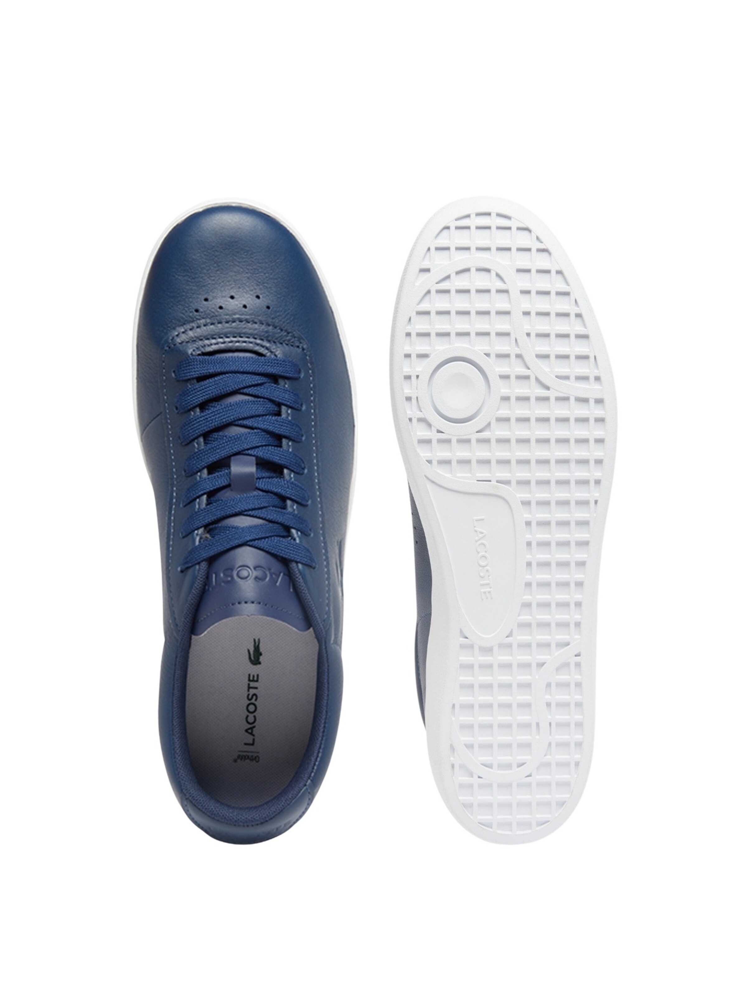 Baskets basses 'Baseshot Evo' LACOSTE en bleu