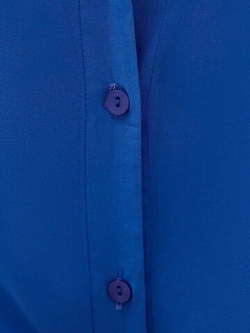 Hiccup Blouse in Blue