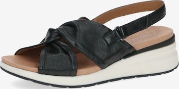 CAPRICE Sandals in Black: front