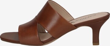 CAPRICE Mules in Brown