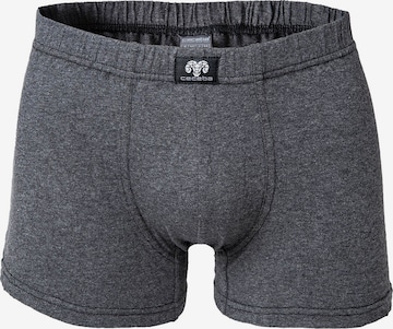 CECEBA Boxer shorts in Grey