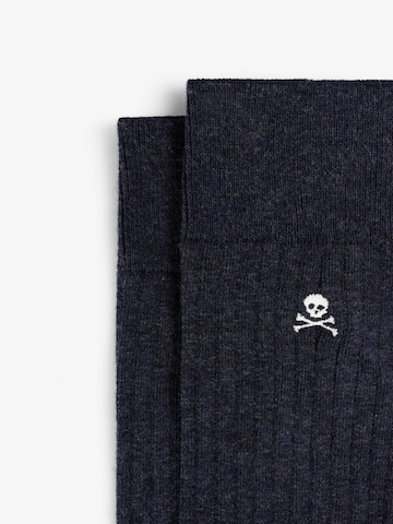 mėlyna Scalpers Kojinės ' '