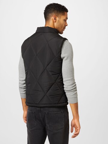 forét Bodywarmer 'GLACIER' in Zwart