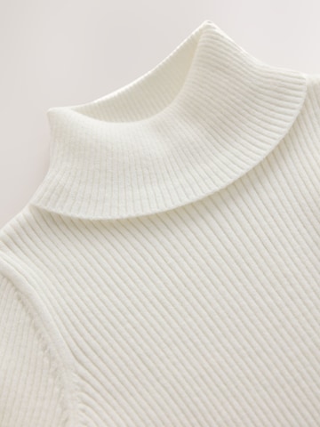 Next Sweater in Beige