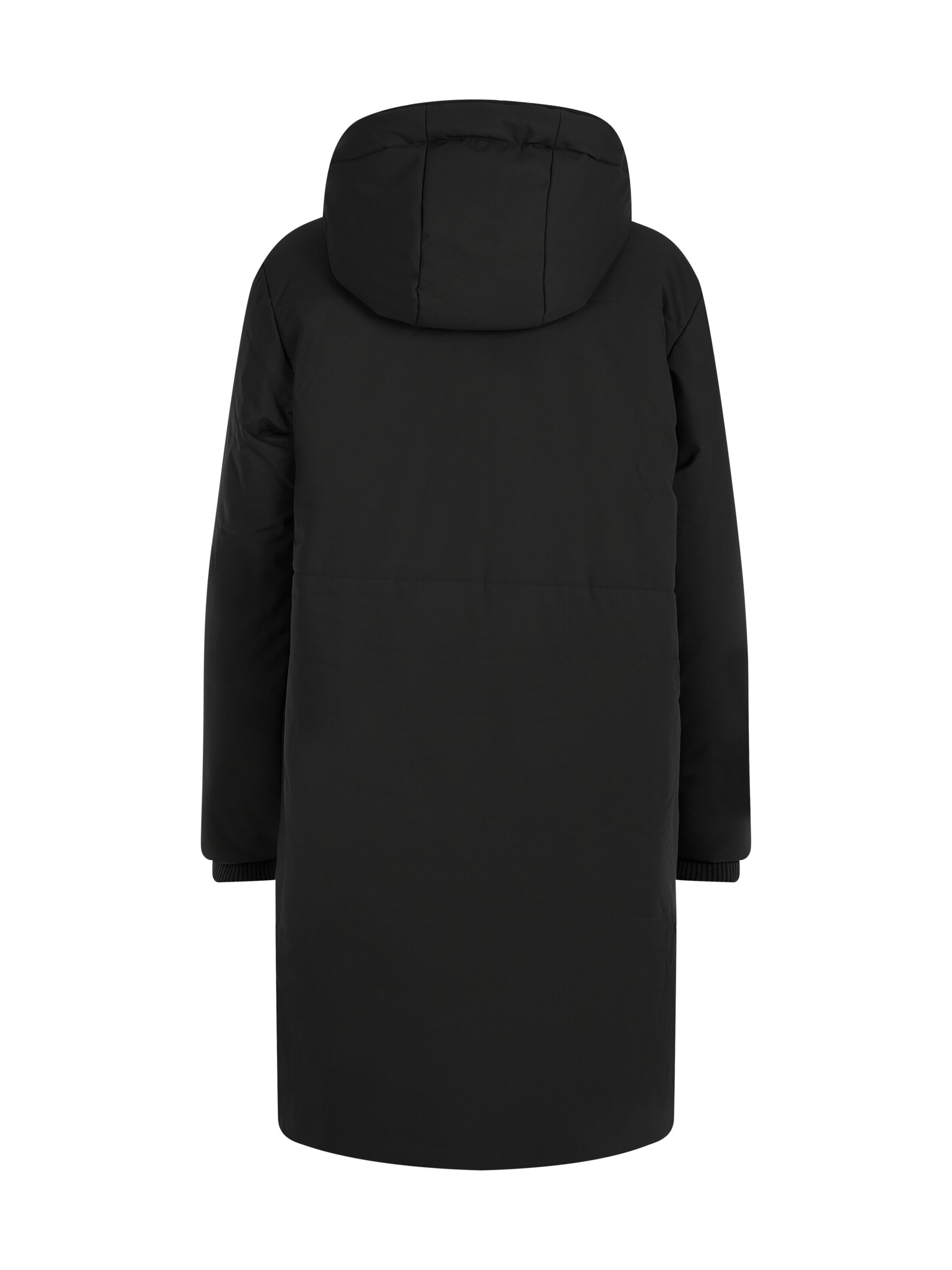 PROTEST Winter Jacket 'PRTPipit' in Black