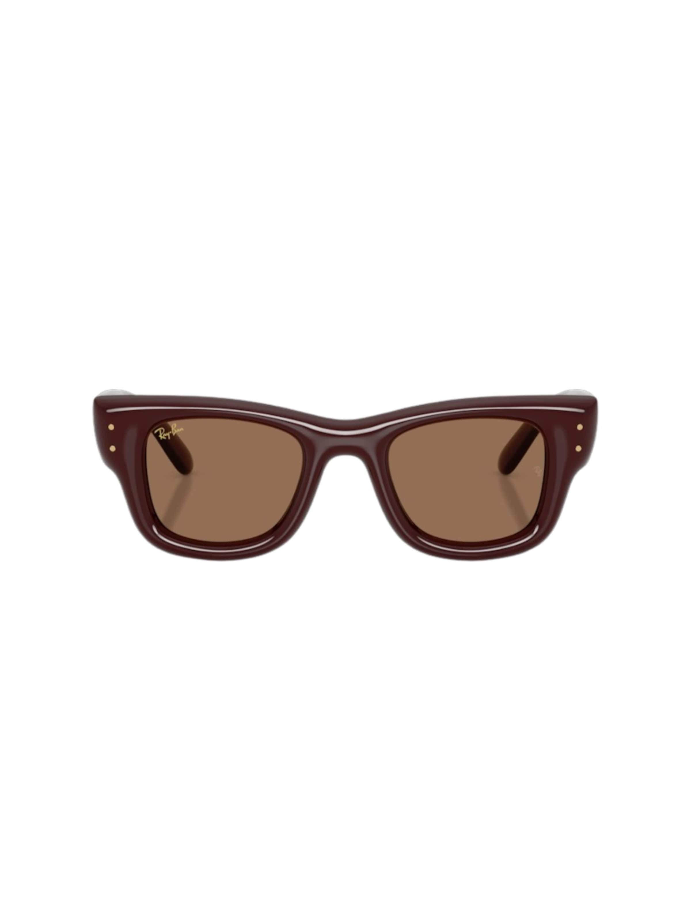 Ray-Ban Sunglasses in Brown: front