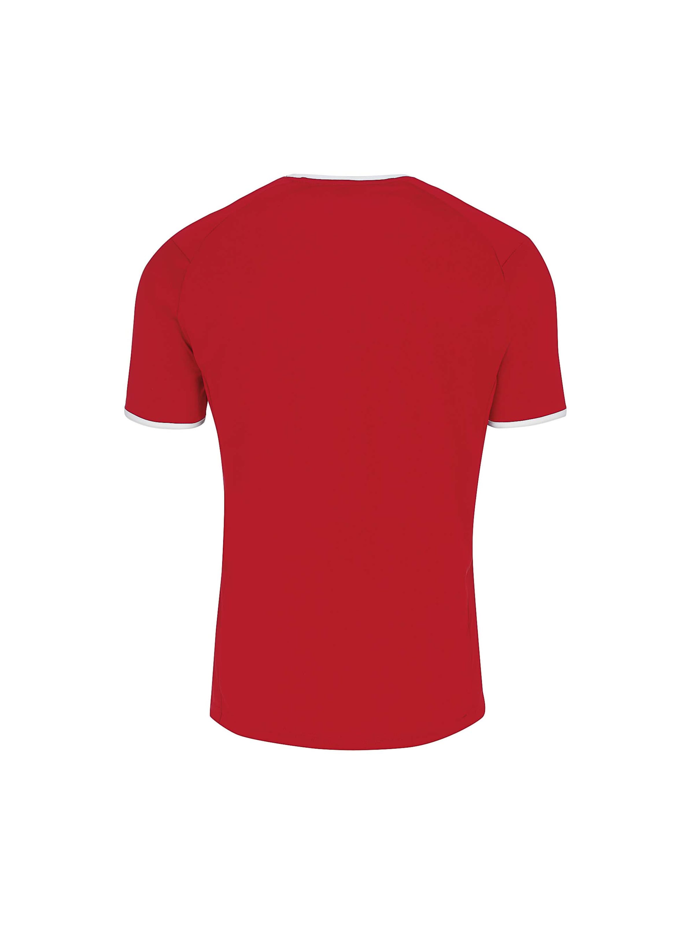 Errea Performance shirt 'LENNOX' in Red