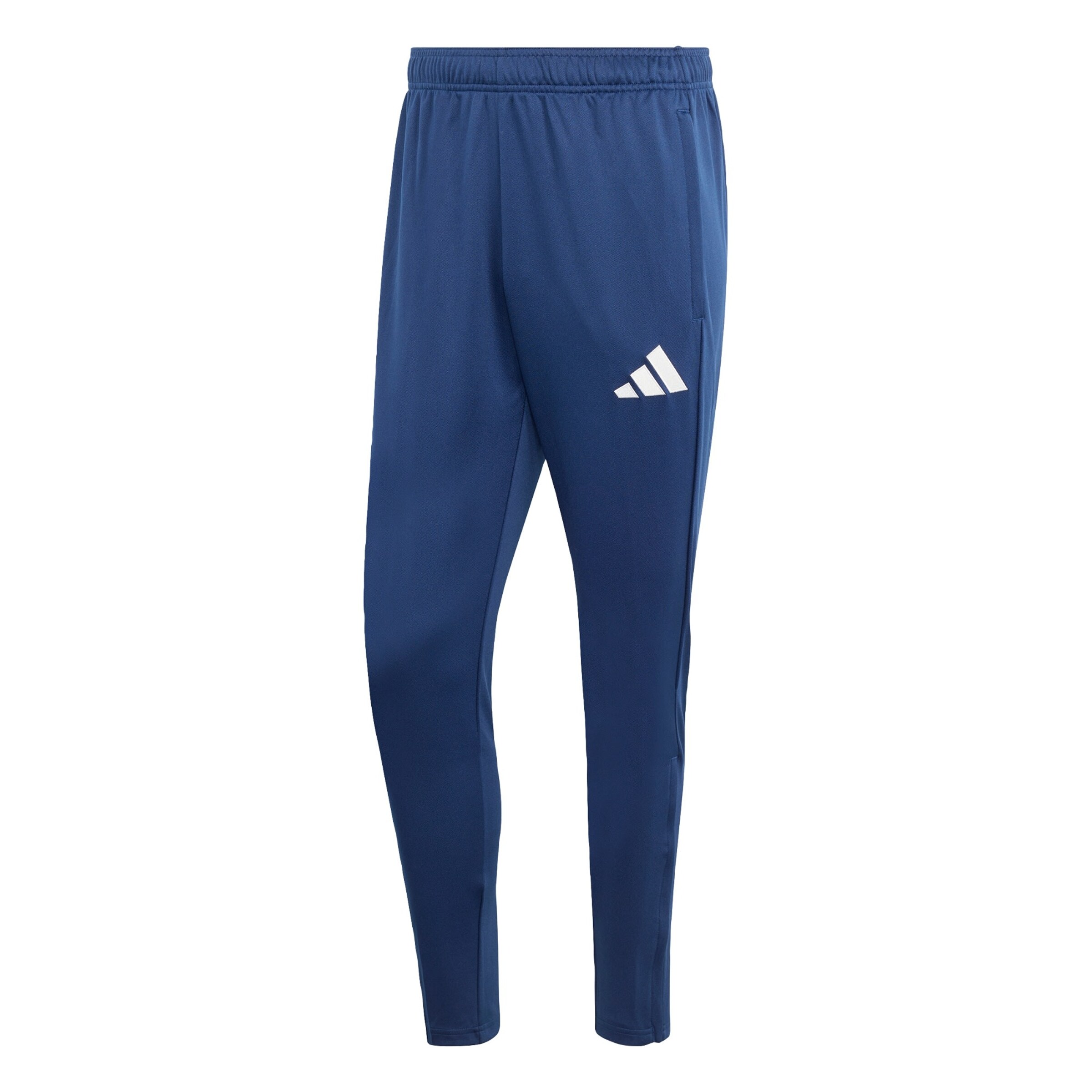 Pantalon de sport 'Entrada26' ADIDAS PERFORMANCE en bleu : devant
