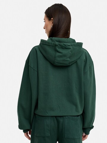 Daily Cotton Sweatshirt 'DCVIVEIRO' in Green