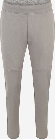 Tapered Pantaloni sportivi di 4F in grigio: frontale