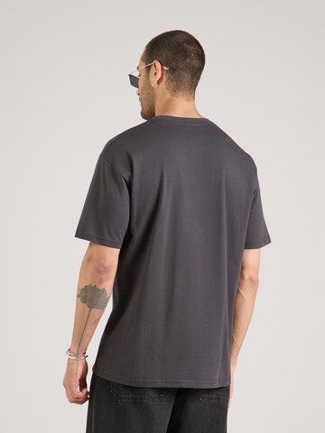 Iriedaily Shirt 'Peaceride' in Grijs