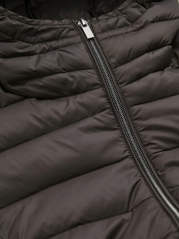 Manteau d’hiver Cellbes of Sweden en marron