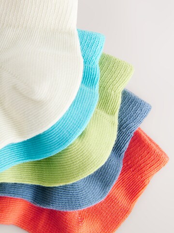 Next Socks in Mixed colours
