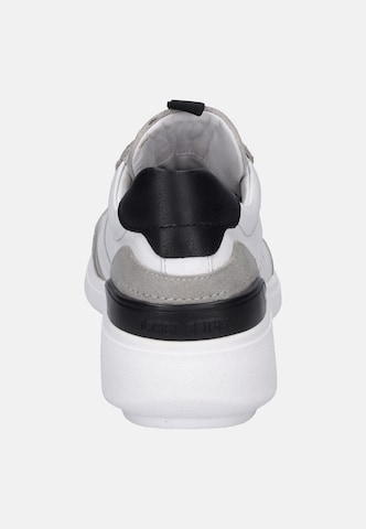 JOSEF SEIBEL Sneaker 'Giulietta 01' in Weiß