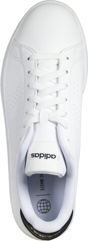 Chaussure de sport ADIDAS SPORTSWEAR en blanc