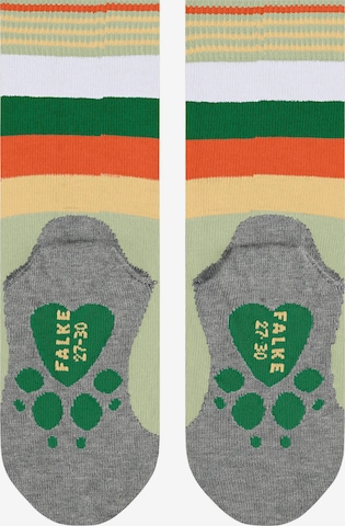 FALKE Socks 'Active Fox' in Green: front