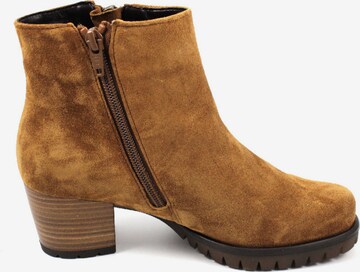 GABOR Ankle Boots in Brown