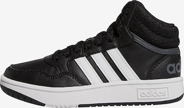 ADIDAS ORIGINALS Sneakers 'Hoops 3.0' in Black: front