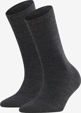 FALKE Socks in Grey: front