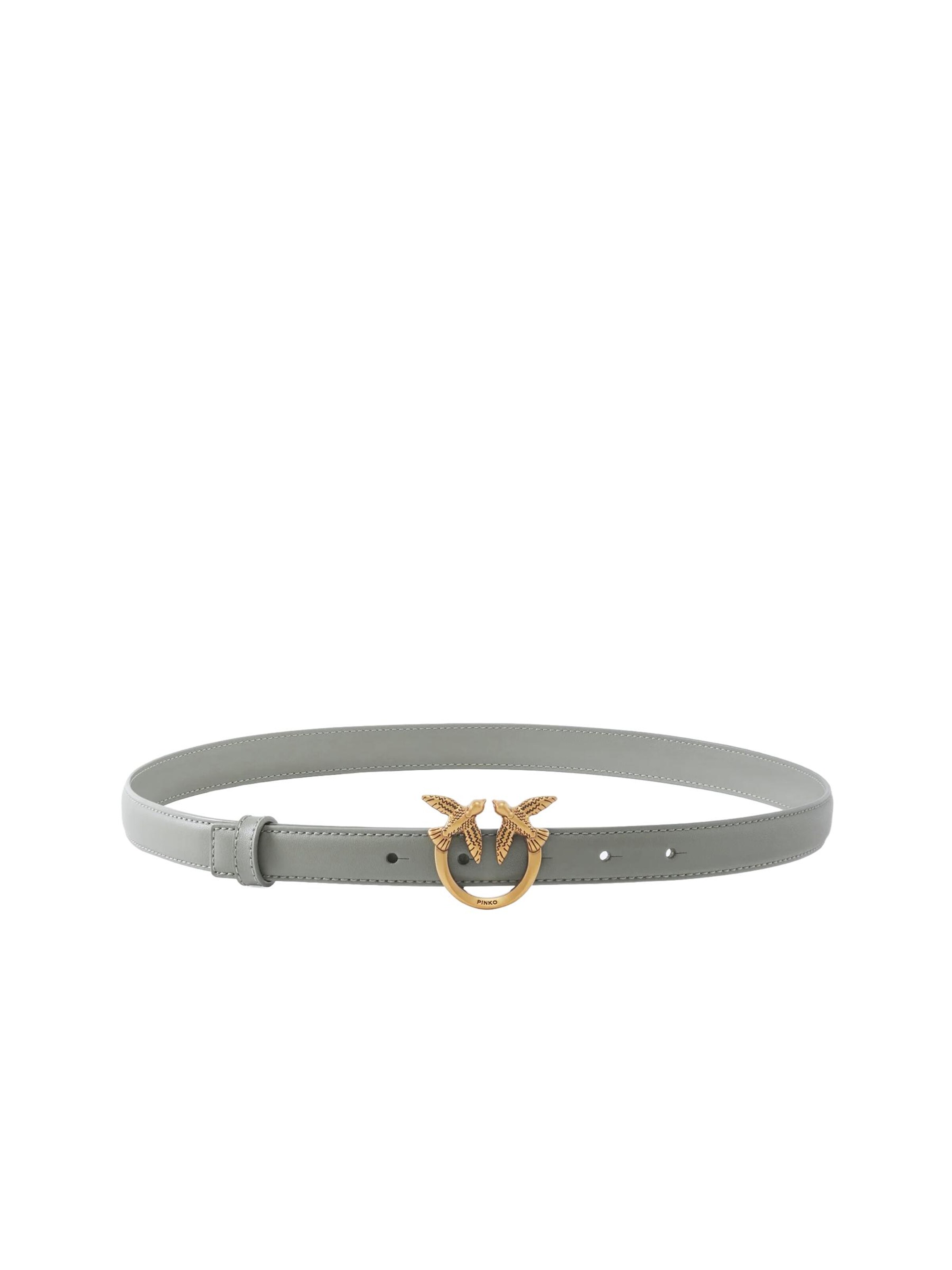 Ceinture '100143 A0F1 PE26 - CINTURA' PINKO en gris : devant