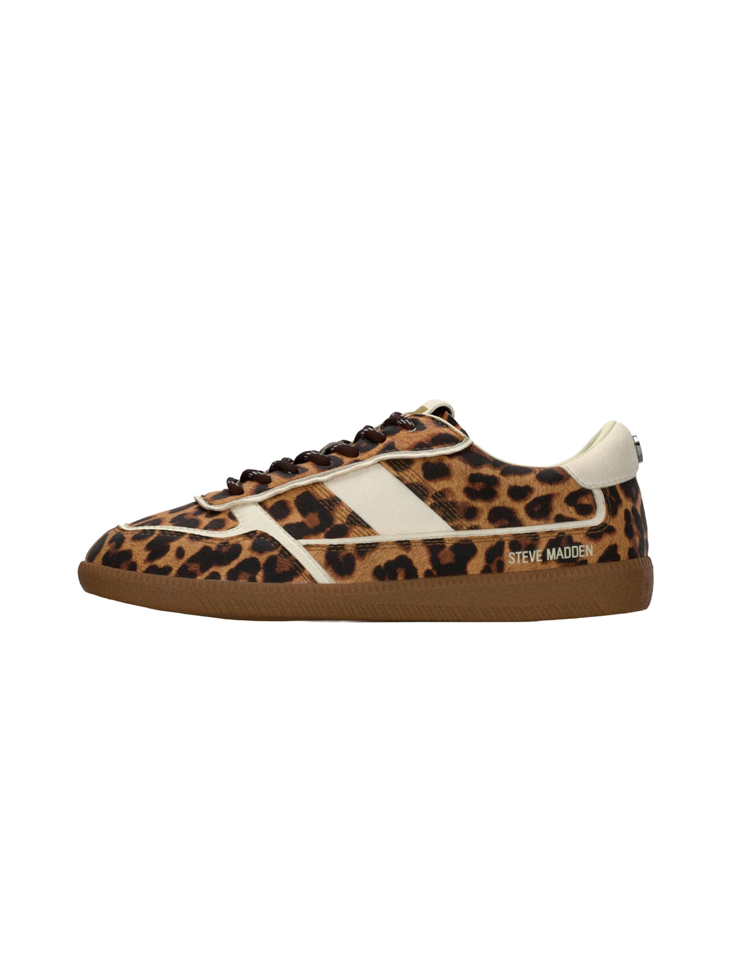 Sneaker bassa 'Augustine' di STEVE MADDEN in marrone: frontale