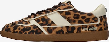 STEVE MADDEN Низкие кроссовки 'Augustine' в Коричневый: спереди