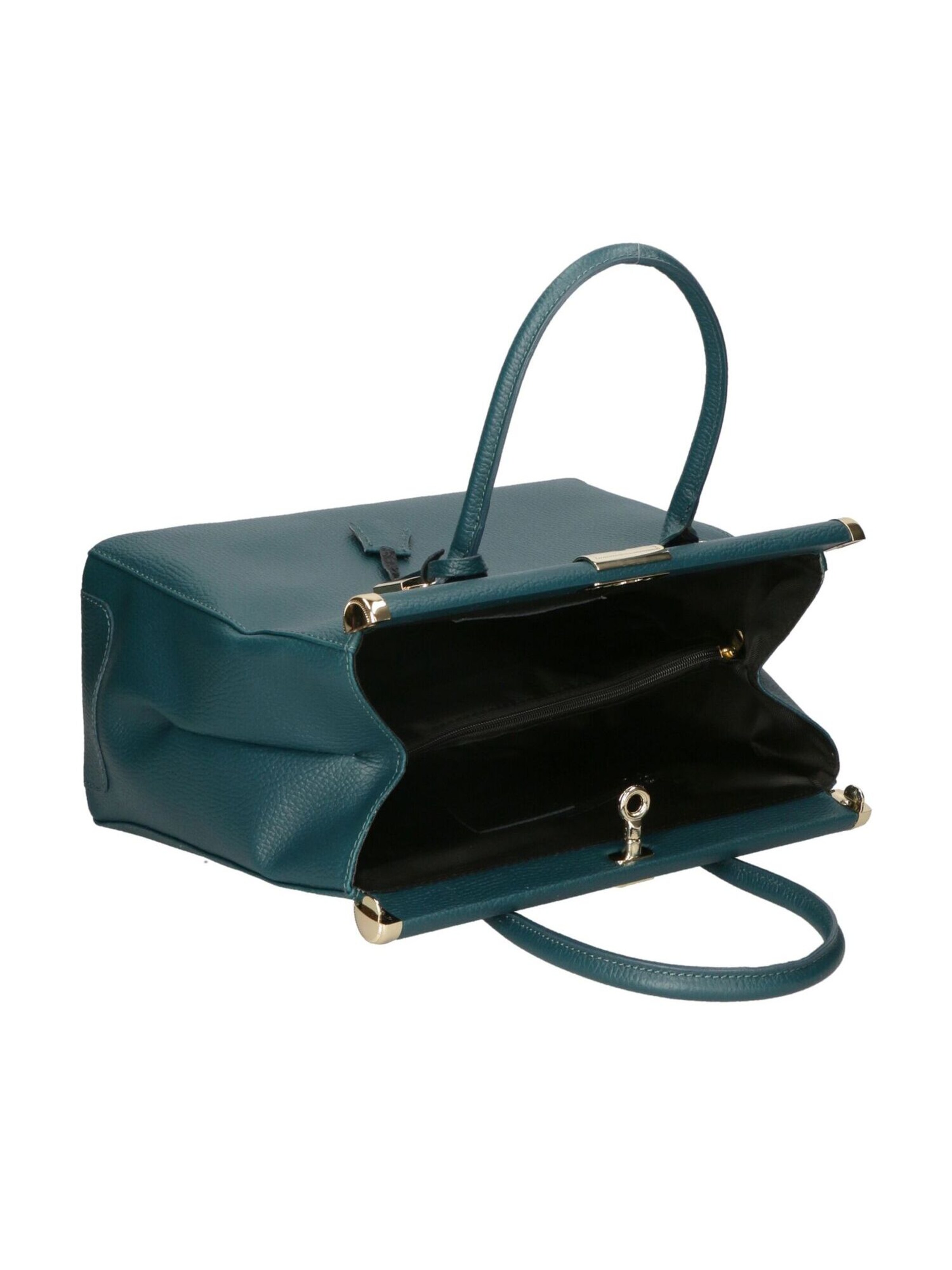 CHICCA BORSE Handbag in Green