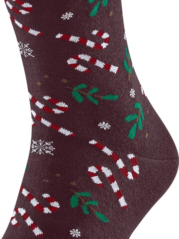 FALKE Socken 'Gift Blizzard'‌‌‌‌‌‌‌‌ in Rot: Vorderseite