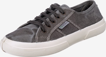 natural world Sneakers in Grey: front