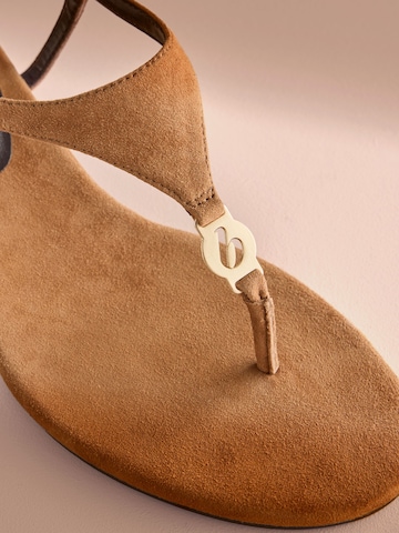 Sandalo di B by Ted Baker in marrone