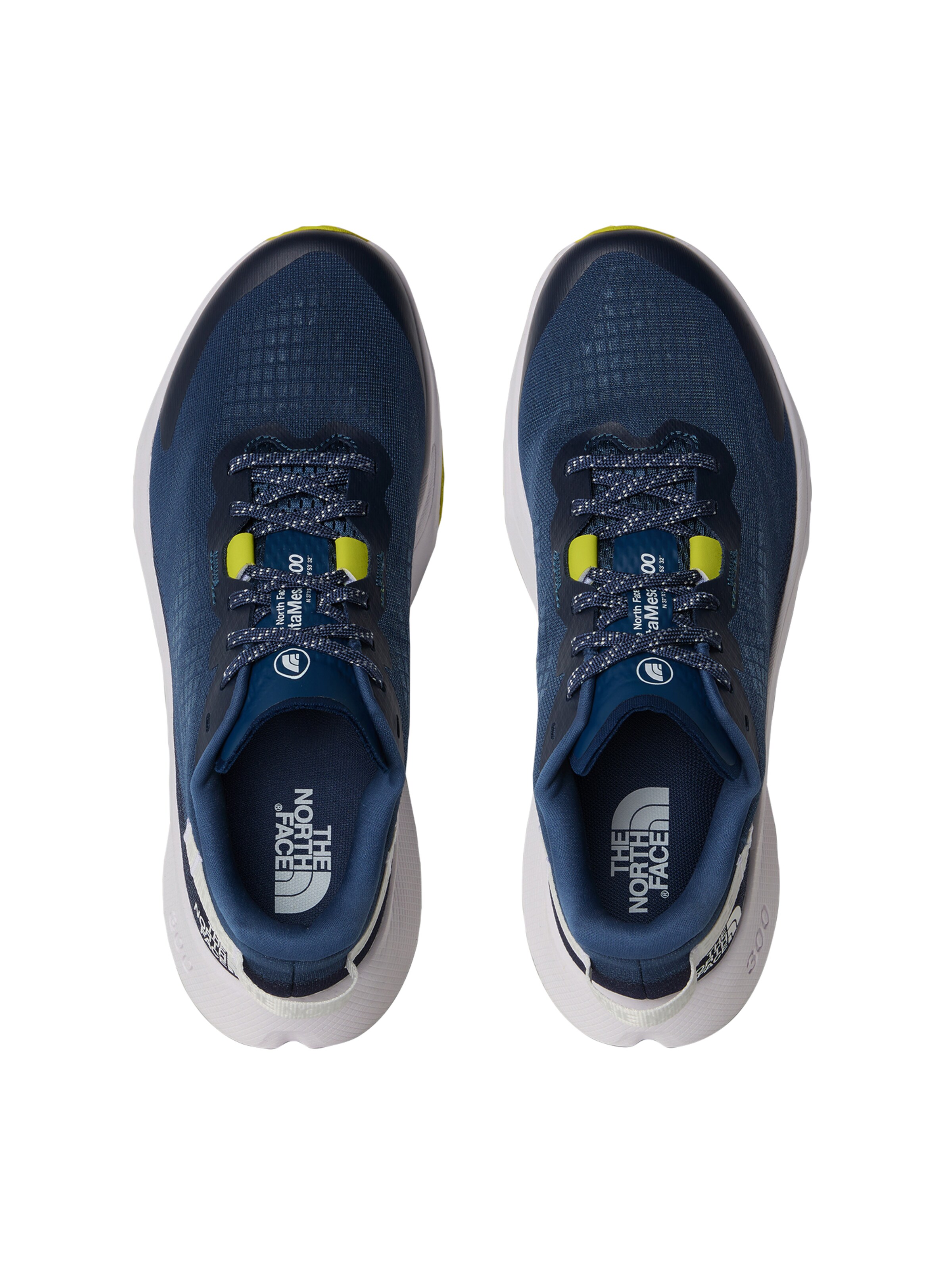 THE NORTH FACE Låg sneaker 'M ALTAMESA 300' i blå