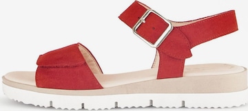 GABOR Strap Sandals in Red