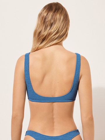 CALZEDONIA Bralette Bikini Top in Blue