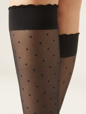 CALZEDONIA Knee High Socks in Black