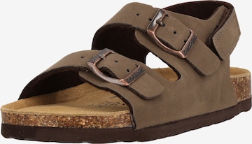 ZigZag Sandale 'Zevi' in Braun: Vorderseite