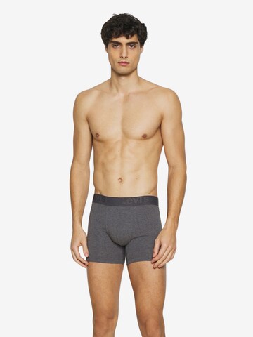 LEVI'S ® Boxershorts in Grau: predná strana