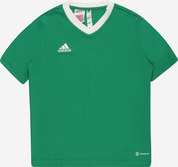 ADIDAS PERFORMANCE - Camisa funcionais 'Entrada 22' em verde: frente