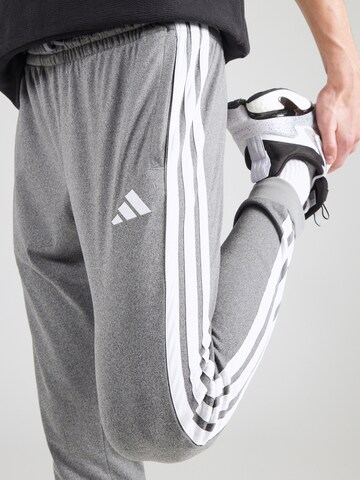 ADIDAS SPORTSWEAR Tapered Sports trousers in Black