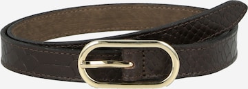 TamarisRemen - smeđa boja: prednji dio