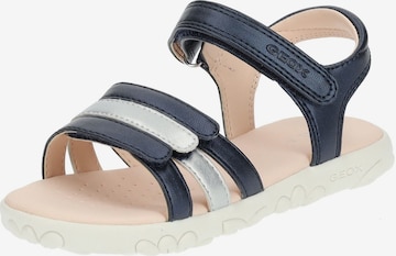 GEOX Sandalen in Blauw: voorkant