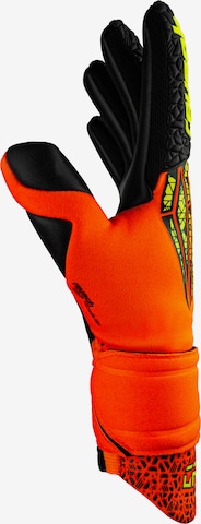 REUSCH Sporthandschoenen 'GK1 Pro' in Oranje