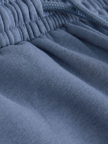 Next Regular Pants in Blue