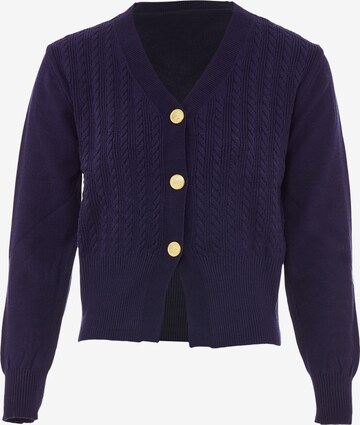 NAEMI Knit Cardigan in Blue: front