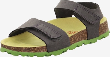 SUPERFIT Sandals & Slippers in Brown: front