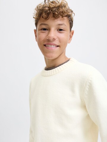Jack & Jones Junior Pullover 'JORNorrebro' in Beige