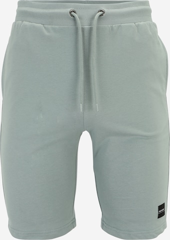 Only & Sons Pants in Green: front