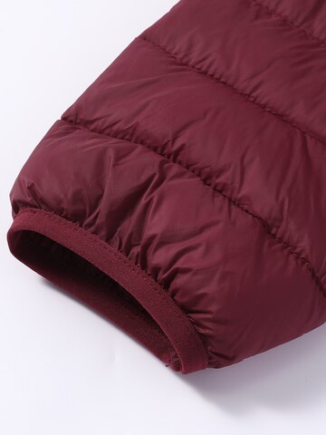 ALLTHEMEN Winter Jacket 'Stichwerk' in Red
