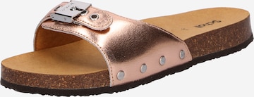 Scholl Iconic Mule 'PESCURA Lea' in Bronze: front