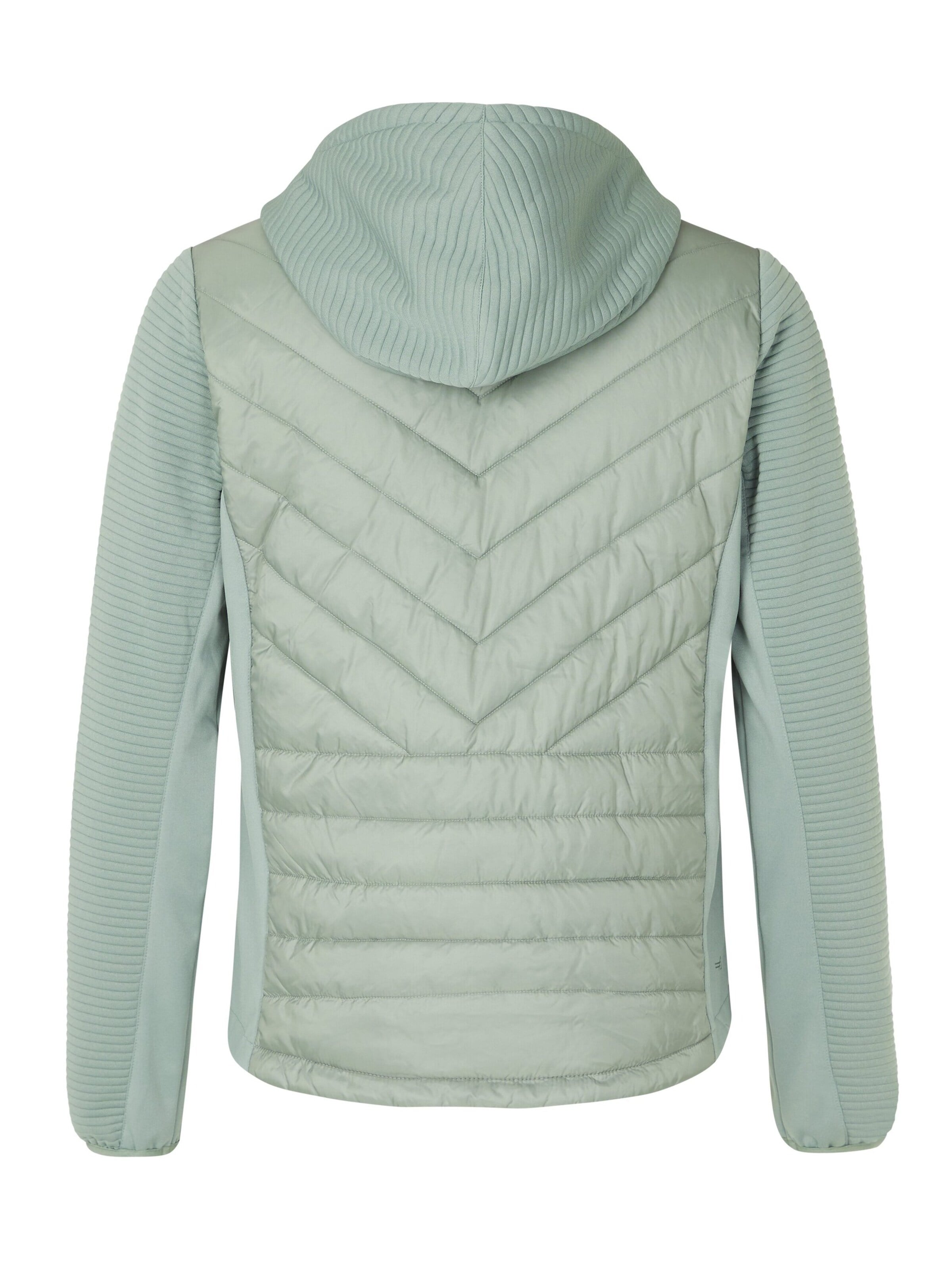 PROTEST Winter Jacket 'PRTHESTIA' in Green