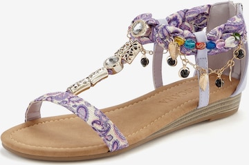 LASCANA - Sandalias con hebilla en lila: frente